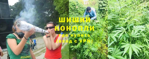 прущие грибы Аркадак