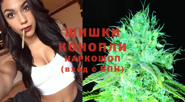 прущие грибы Аркадак
