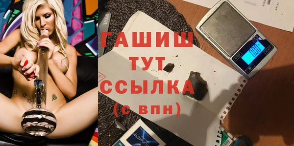 прущие грибы Аркадак